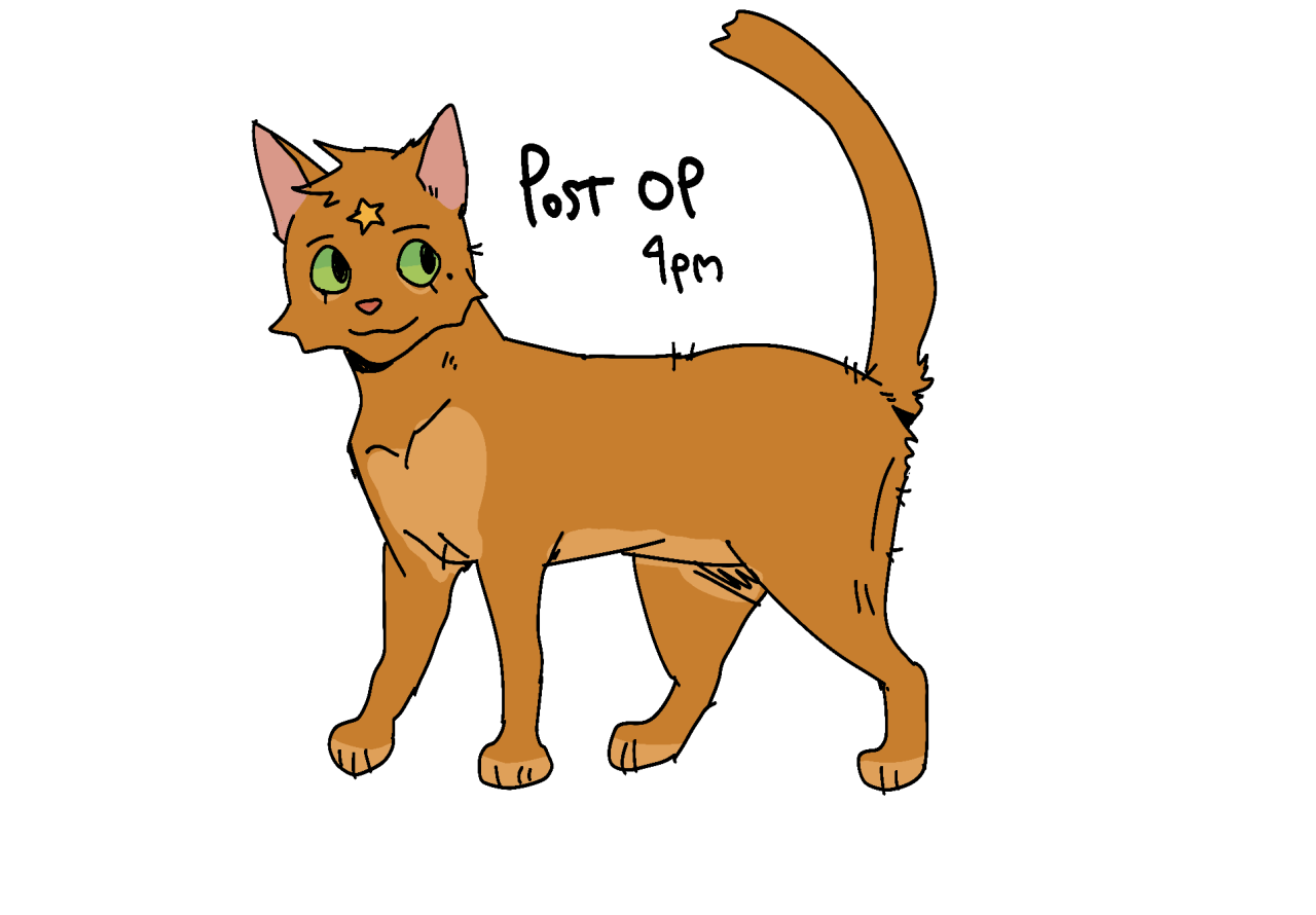 Favourite Warrior Cats characters 2 by OwlThatNestsLow on DeviantArt