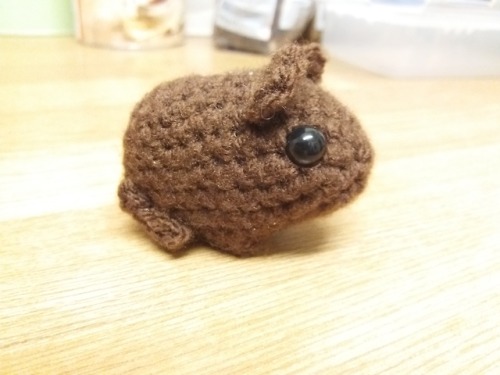 Found my new quick project - guinea pigs! Turns out I can knock these small boys out in about an hou