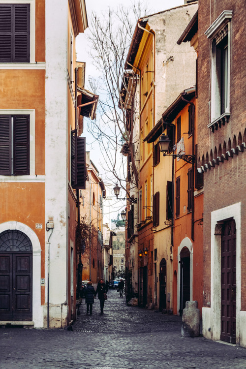 Early spring in Trastevere, RomeNaked trees and awakened feelings Rome | Narrow streets | Europe