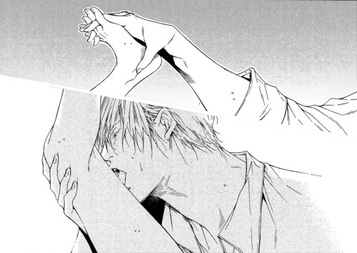 mininekodeedy:  “Season” by Asou Mitsuaki 