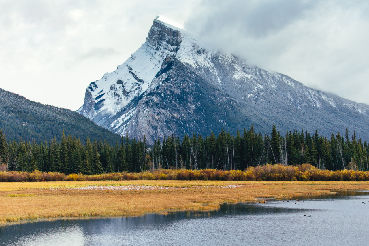 behindthesehazeleeeyeees:  brianfulda:  First snow in the Canadian Rockies.Banff