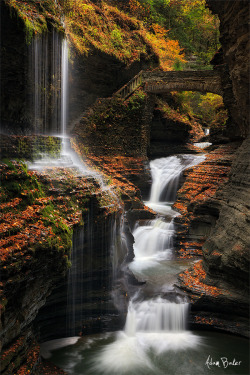 woodendreams:  (by Adam Baker)