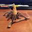 tarantulapaws