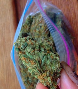 ifweallhadabong-weed-allgetalong:  Ounce of my fav 😍💚