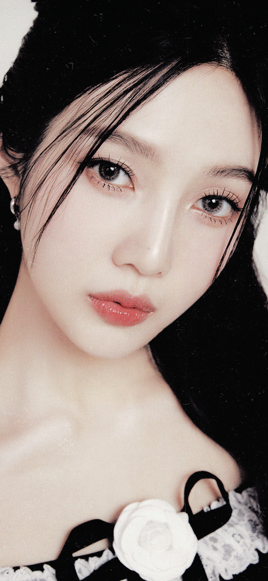 Joy; 2024 Sg "