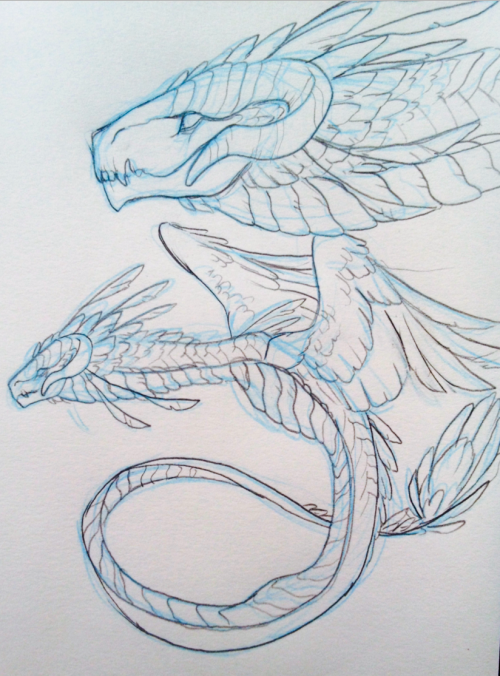 koukouvayia: I saw Dragons 2 this week. Twice. So I drew some dragon forms of my dragon ocs + Ghioni