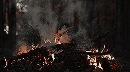 THE WITCHES WALK: Coven D'Ogun.