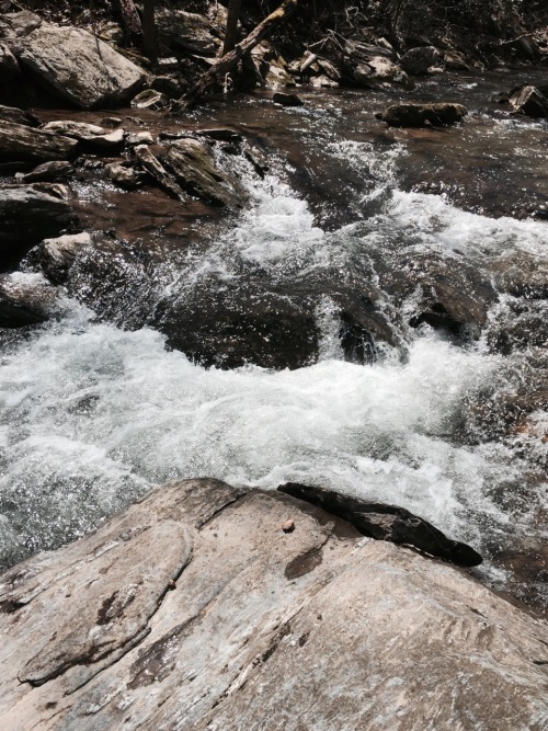 blisteredhc:  get high with your friends in pretty places 