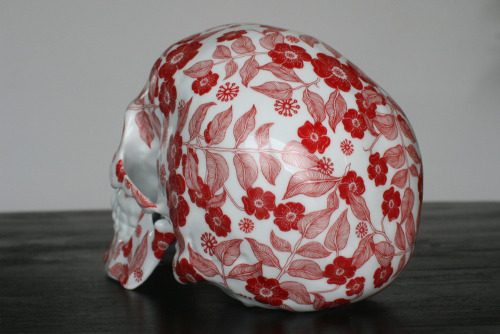 fer1972:  Porcelain Skulls by NooN