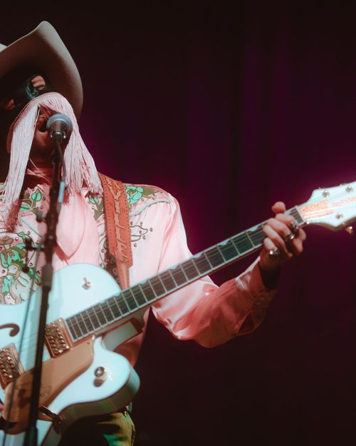 orvillepeckdaily: aldenbonecutter: Rhinestone Cowboy(link to photographer’s instagram!)