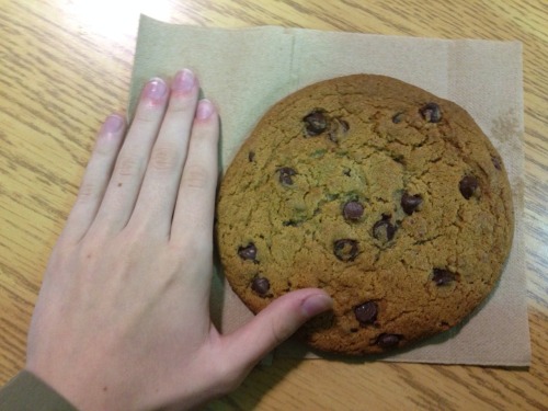 smallnico:look at this fucking cookie. look at it. i bought this fucking cookie at my school’s cafet