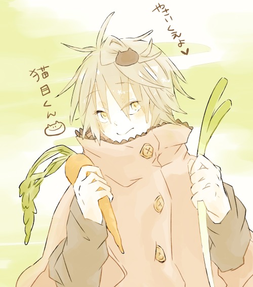 saaaaaaaak:  猫目くん