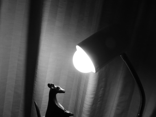 A black and white image of a lamp shining down onto a plastic kangaroo in an interrogative manner.