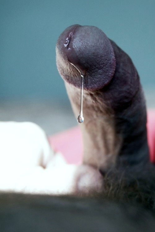My daddy is hairy