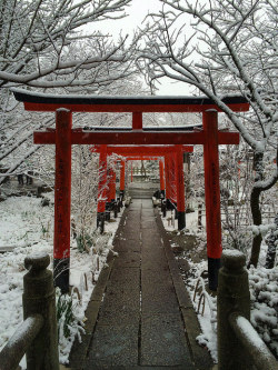 ourbedtimedreams:  Hirano shrine, Kyoto, Japan by Vlad【ssh4】 on Flickr.