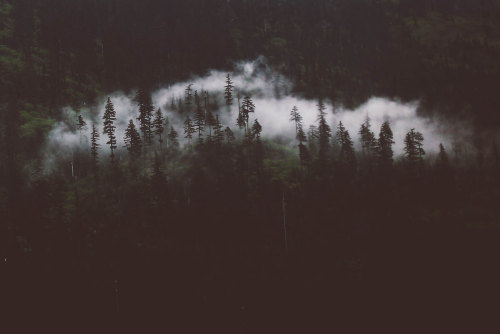 theperksofbeing-infinite:  ++