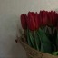 ccezlele22