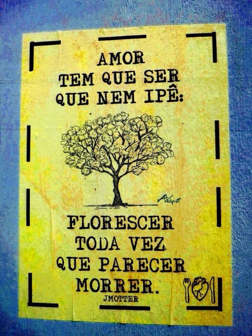 poesia carbonizada