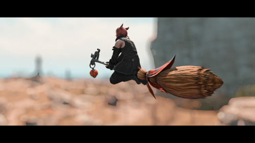 Witches Broom// I completely forgot i even had this mount lol.     He looks so cute o