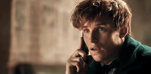 newtts-scamander:# giving newt head # and he turns into # a mumbling # panting #### mess™ brin
