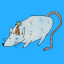 sillyratwithahat