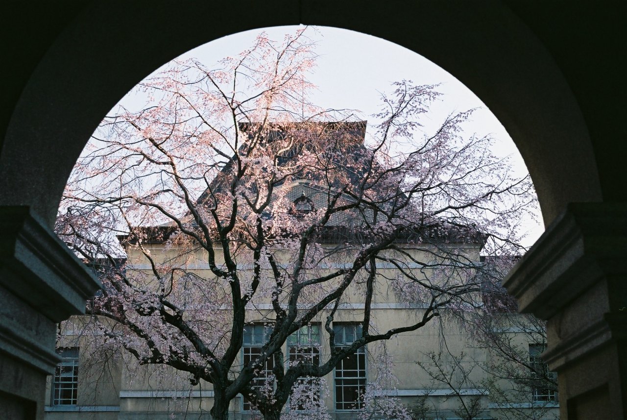 zyu10:  Kyoto, Japan, 2015