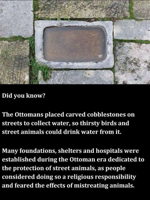 ottomans