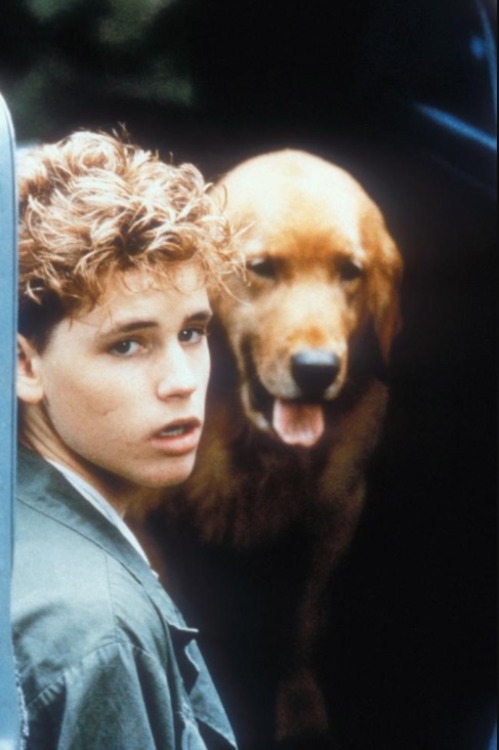 Corey Haim in Watchers (1988)