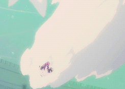 believe in wonderland