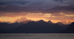 photosofnorwaycom:  Sailboat in Lofoten sunset, Norway. (by Bhalalhaika)