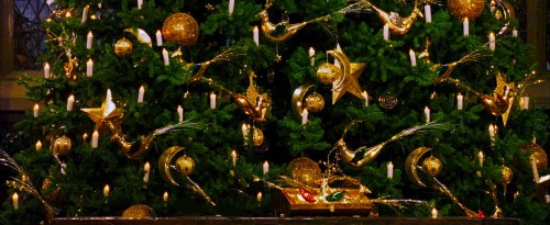 Golden stars, moons, and birds decorate the Christmas tree front and center in the Great Hall of Hog