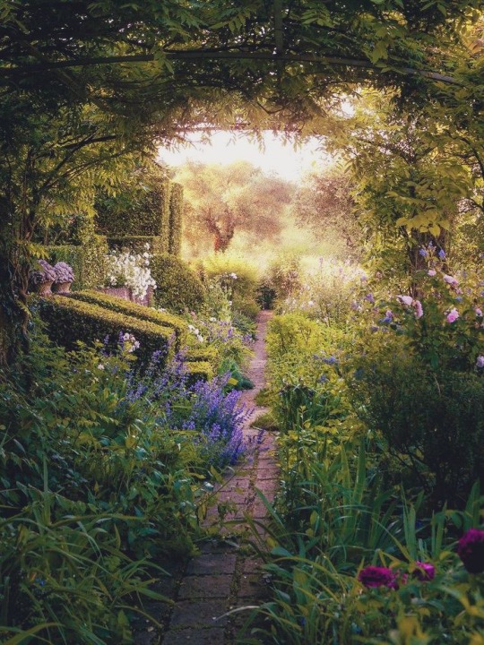 happyheidi:welcome spring 🍃(via)