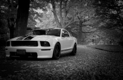 ford-mustang-generation:  Graveyard shift by serbiandude on Flickr.