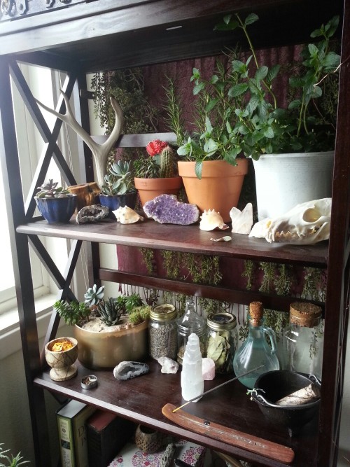 inspirationforasage: My magickal space is steadily growing ♥♥♥