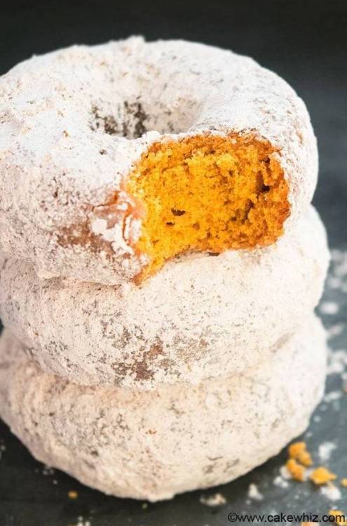 XXX fullcravings:  Easy Pumpkin Donuts Recipe:  photo