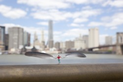 archatlas:  The Little People Project  Slinkachu    His miniature figures are left to fend for themselves in the bustling city, where they are then photographed and left to the abandon of their urban environment. These figures embody the estrangement