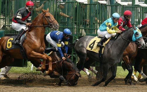 equine-awareness:  moon–pixie:  I’ve said it once and I’ll say it again:  Horse