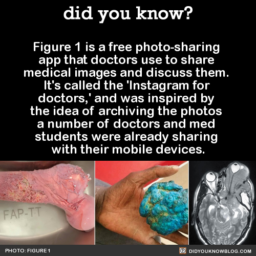 did-you-kno:    Warning: this app will waste your entire afternoon, and you will