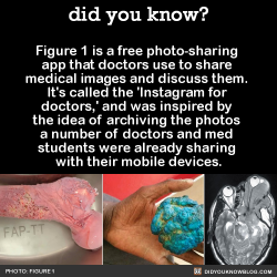 did-you-kno:    Warning: this app will waste your entire afternoon, and you will forget to post new facts.  Source 