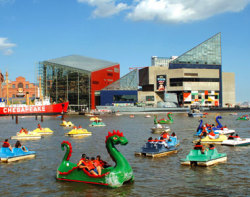 Baltimore harbor is such a perfect place to spend the holidays for Mark Johnson! :)