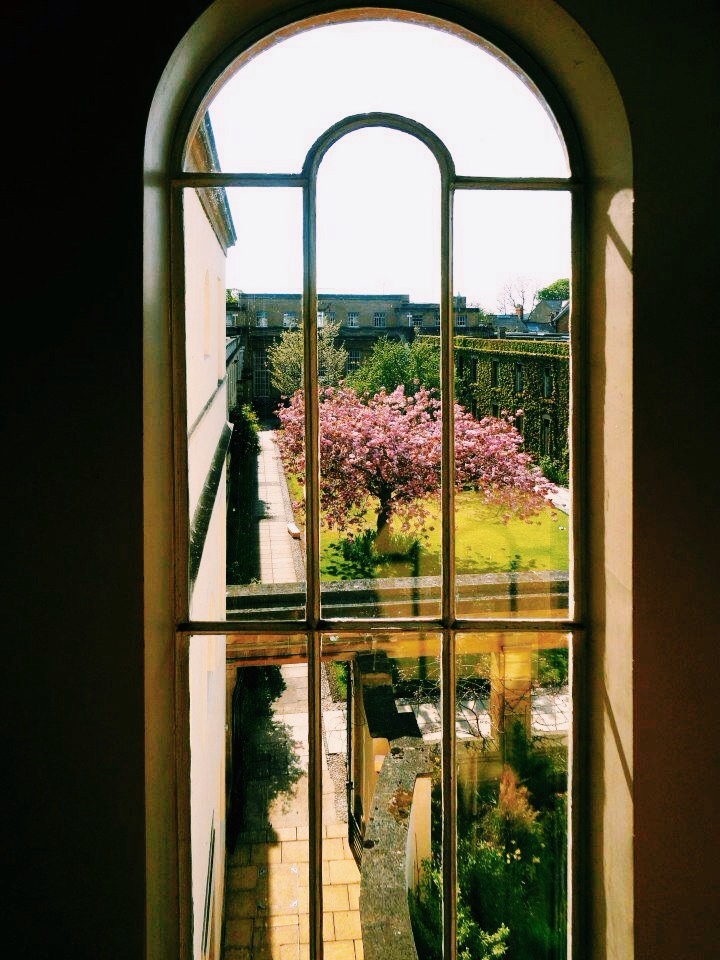 bowhurst:  ×  Just beautiful things   ×  Also on Instagram  × 