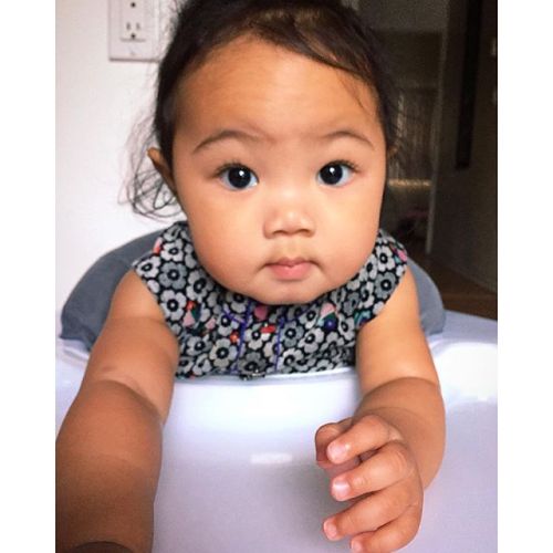 elegantpaws:  naejpink:  ravenswoodish:  kinnedy-marie:  Beautiful.  So pretty  Will you look at this little snookums? I would just take her from her Momma and Daddy and smooch those precious little cheeks!!!    Delish