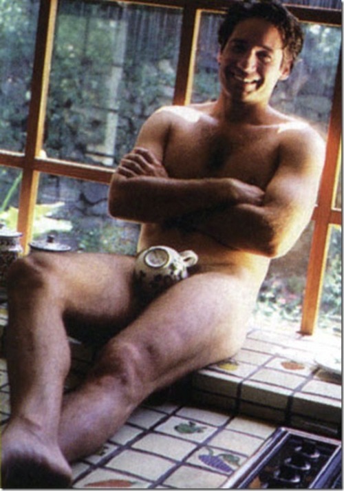 dogplanet: joyceanfartboner: fuckyeah1990s: for Playgirl Magazine i dont think i want this tea, muld