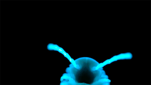 rimbaudiansymbiote - wayward amoeba girl
