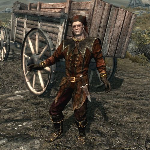 uuesp:baliwog:uuesp:“I’ll be frank. I don’t like Cicero. To me, he feels like he became the Scrappy Doo of Skyrim. I couldn’t deal with him for a full questline. I added the option to kill him in The Cure for Madness for a reason.