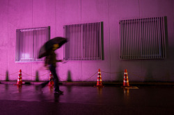 lkazphoto:  Purple Rain, Ikebukuro （池袋）