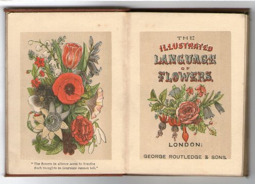 michaelmoonsbookshop:Routledge’s Miniature Library - Language of Flowers c1880Peach Blossom = I am y