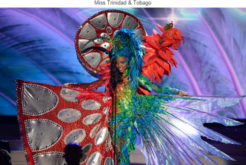 lizzysmart: howtobeafuckinglady: The National Costume portion of the Miss Universe Pageant is always