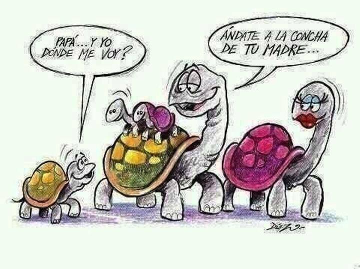 C A M I L A