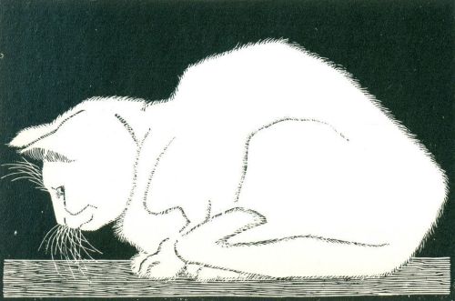 M.C. Escher aka Maurits Cornelis Escher (Dutch, 1898-1972, b. Leeuwarden, Netherlands) - White Cat I